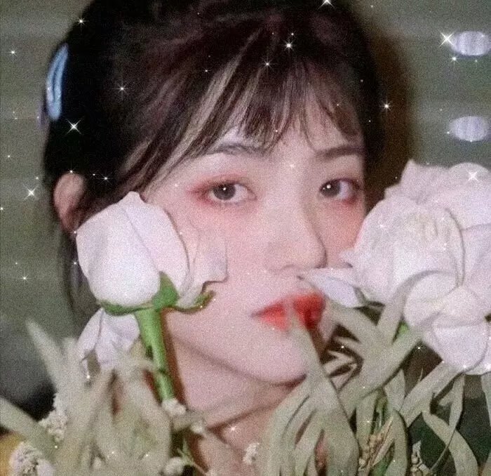 大白鲨